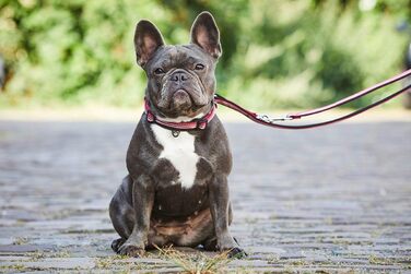 Нашийник для собак Wolters Active Pro, розмір 35-40/45-52 см, червоний/чорний