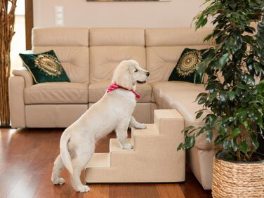 Сходинка для собак та котів Tiertreppen - пандус з 4 ступенів, висота 40 см, бежевий