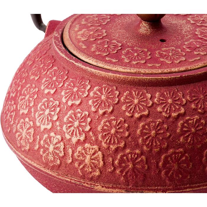 Bredemeijer Red Asian Cast Iron Teapot Set 0.6 Liter with 2 Cups