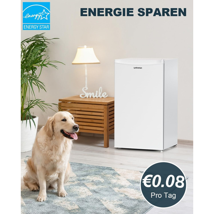 Холодильник Upstreman 91L з функцією швидкого охолодження, 5 температурних режимів (1-8℃), енергоефективний, 41 дБ, компактний, для студентського гуртожитку/офісу, BR321- (білий)