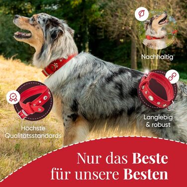 Julieta Leine, Leather Dog Leash, Leather Lead Dog, MATCHES Julieta Collar, Red, Leather, with Lilies, Rhinestones, and a Large Crystal (Neck circumference 52-58cm)