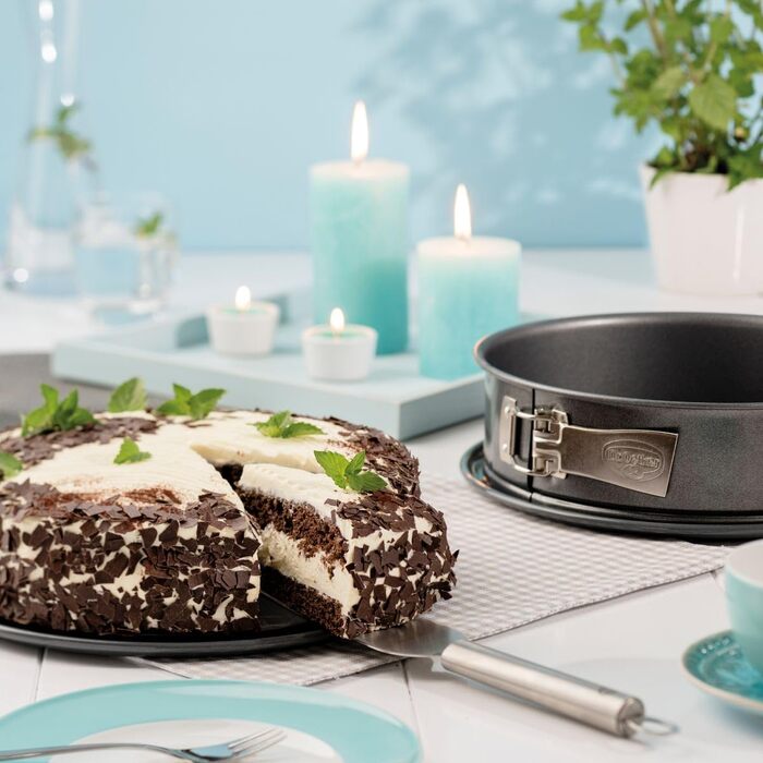 Dr. Oetker Springform, Ø 28 cm, leak-proof cake pan, round steel baking pan with ceramic-reinforced non-stick coating (Color: gray), Quantity: 1 piece