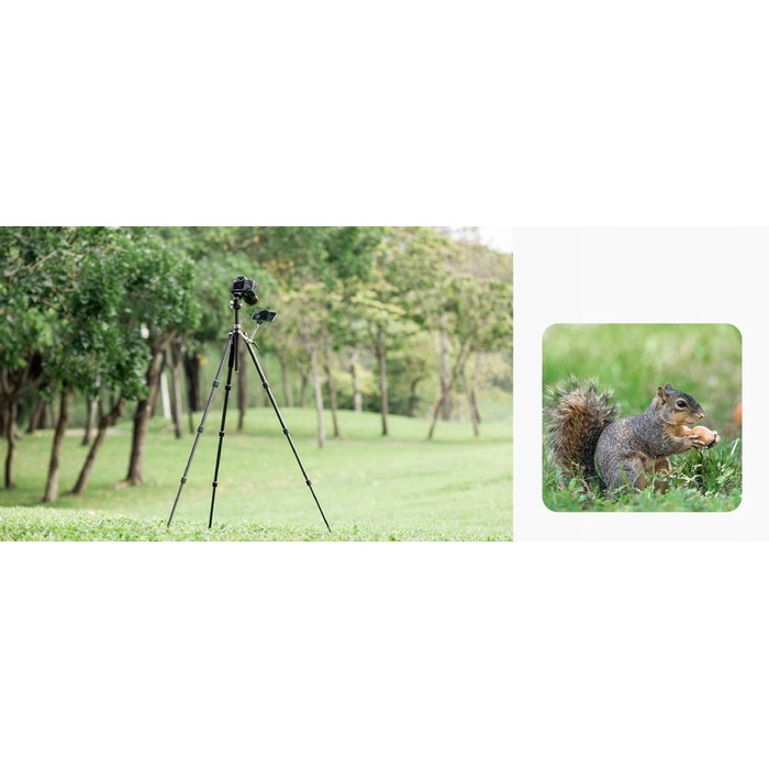 Карбоновий штатив 2-в-1 K&F Concept X284C4 (штатив/монопод), 172 см