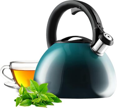 Чайник KADAX з нержавіючої сталі, 3л, з свистком, ретро-дизайн, блакитний