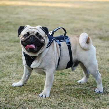 Нашийник для собак з повідком, безпечний нашийник від виривання, анти-тяговий нашийник з ручкою та світловідбиваючими елементами, легкий, регульований нашийник для середніх собак (Чорний, XS). Дуже маленький, чорний