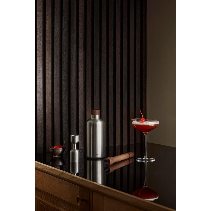 Eva Solo | Liquid Lounge Cocktail Shaker | Ensures quick cooling of your drink | Danish design and functionality | Brushed stainless steel