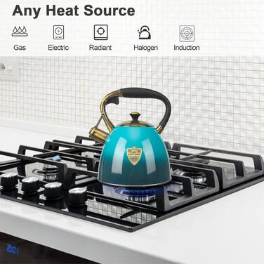 Чайник для плити Teekessel з нержавіючої сталі, 2,9 л (Блакитний)