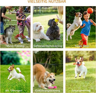 Набір для аджиліті для собак PawHut 3-TLG. Білий+Жовтий, для тренувань