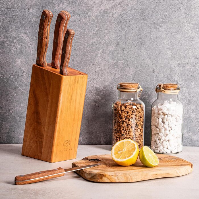 Набір ножів Karl Hausmann 5 предметів: ніжний блок, кухонні ножі з нержавіючої сталі, блок для ножів з пластику та щетиною