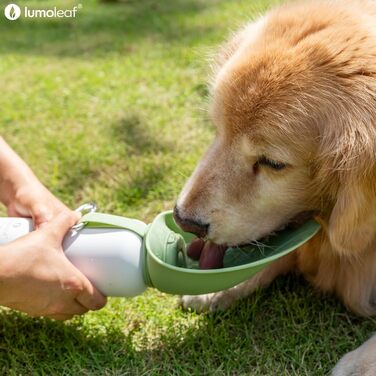 Термофляга для собак LumoLeaf з нержавіючої сталі, 800 мл, зелена - зберігає воду холодною/теплою, довговічна, портативна