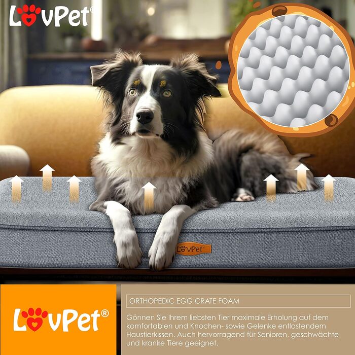 Lovpet® Orthopedic Dog Bed, Dog Cushion, Dog Basket Cookie, Incl. Bowl + 3X Chew Bones, Dog Sofa for Small, Medium & Large Dogs, Removable and Washable Cover, L 91x69x7.6 cm Anthracite