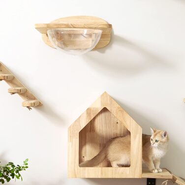 Climbing Wall for Cats, Transparent Room Capsule with 2 Pedals as a Cat Wall Furniture Set, made of Solid Rubberwood, High-Quality Cat Bed for Sleeping, Playing, and Climbing - Supports up to 16KG