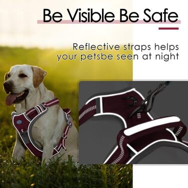 ThinkPet Шлейка для собак від тяги з ручкою - регульована, без тиску, світловідбиваюча, дихаюча, з м'якою підкладкою (S, Червона) Червона S (1 шт.)