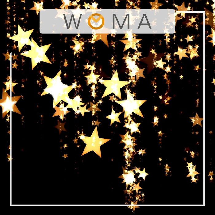 Набір ялинкових прикрас WOMA: бронзові кулі та 22 кольорів - 50 та 100 шт. Ялинкові кулі з пластику, декор для ялинки