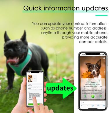 Відбиваюча нашийник для собак ThinkPet з Air-Mesh, QR-кодом, для цуценят та собак середніх розмірів, блакитно-зелений, 