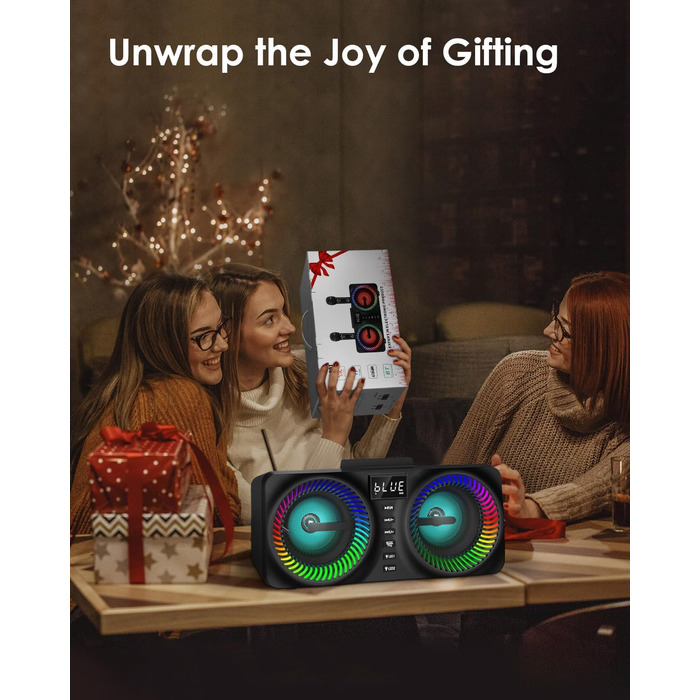 Караоке система All-in-One з Bluetooth, 2 мікрофонами та акустикою 30W, PA система для вечірок (Чорний)