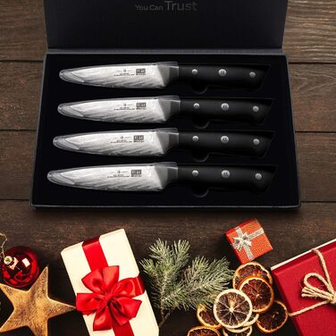 Японський кухонний ніж SHAN ZU Damast, 67-шарів, з нержавіючої сталі AUS10, професійний шеф-ніж з ручкою G10, подарункова коробка (набір столових ножів на 4 персони)