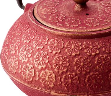 Bredemeijer Red Asian Cast Iron Teapot Set 0.6 Liter with 2 Cups