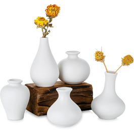 Set of 5 Small White Ceramic Vases - Mini Handmade Vases for Pampas Grass & Flowers - Modern Home Decor for Living Room, Kitchen, Office & Table