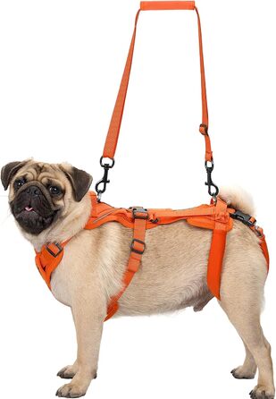 Шлейка для собак OneTigris Hopper для підтримки та реабілітації, XS (S:8-15кг, Обіх:36-51см, Грудка:51-69см), Помаранчевий