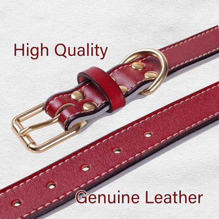 Відбиваючий поводок для собак, регульований, м'який, для малих, середніх та великих собак (довжина 46-56 см), червоний, S