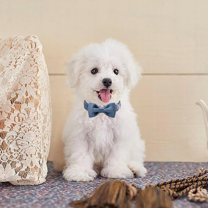 Елегантний ошийник для собак Aring з бантиком, м'який велюровий ошийник, регульований, темно-синій, подарунок для дівчаток та хлопчиків