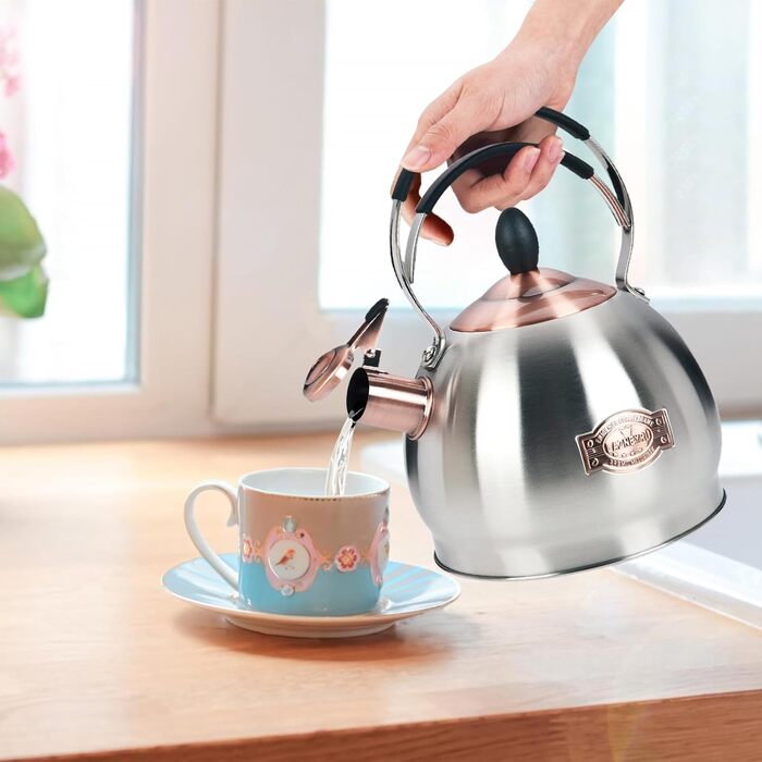 Кришка-свисток з нержавіючої сталі 2.6 л, сумісна з усіма типами плит, включаючи індукційну (срібна)