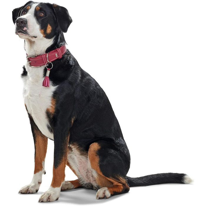 Нашийник для собак HUNTER CANNES, шкіряний, з м'якої напівшкіри, елегантний (XS, L-XL, бургунді)