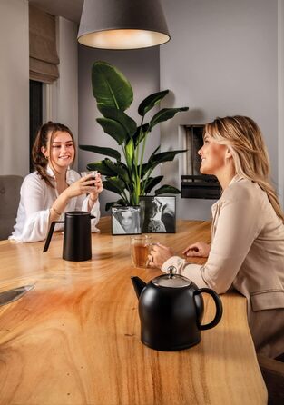 Bredemeijer small, round, double-walled teapot 0.5 Liter (Black, 1.4 L)
