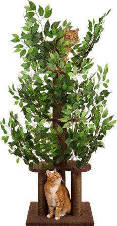 Дерево для котів з листям – Стабільний та компактний – 4 поверхні для дряпання та 3 стовпчики – Ідеально для лазіння, ховання та сну – Легка збірка – Безпечний та довговічний cat tree з натуральних матеріалів