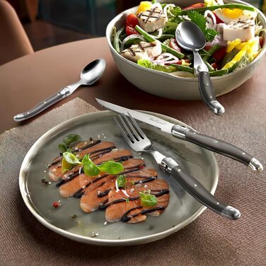 Набір столових приборів для стейку Lou Laguiole TRADITION (48 предметів) з нержавіючої сталі з кольоровими пластиковими ручками, на 12 осіб, перець