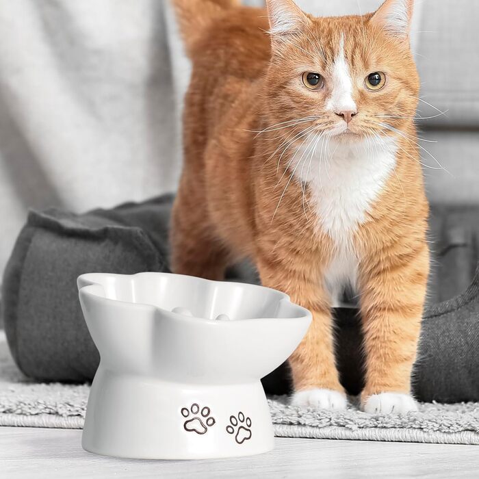 Миска для собак та котів Kaiikais Slow Feeder, 240 мл, кераміка, піднята, для повільного годування