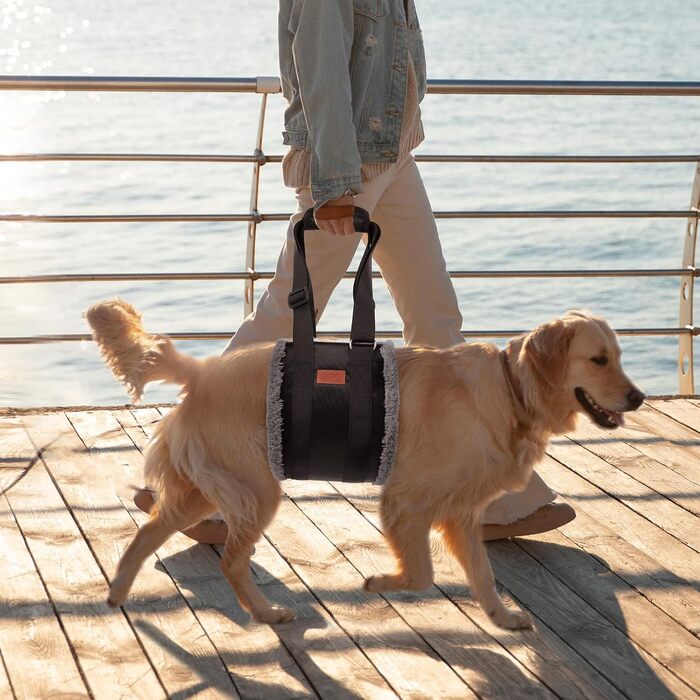 Регульована переносна допомога для собак, переносна лямка для реабілітації, поранених, травмованих або літніх собак - шлейка для собак як засіб допомоги при ходьбі для маленьких і великих собак, сірий колір, XL