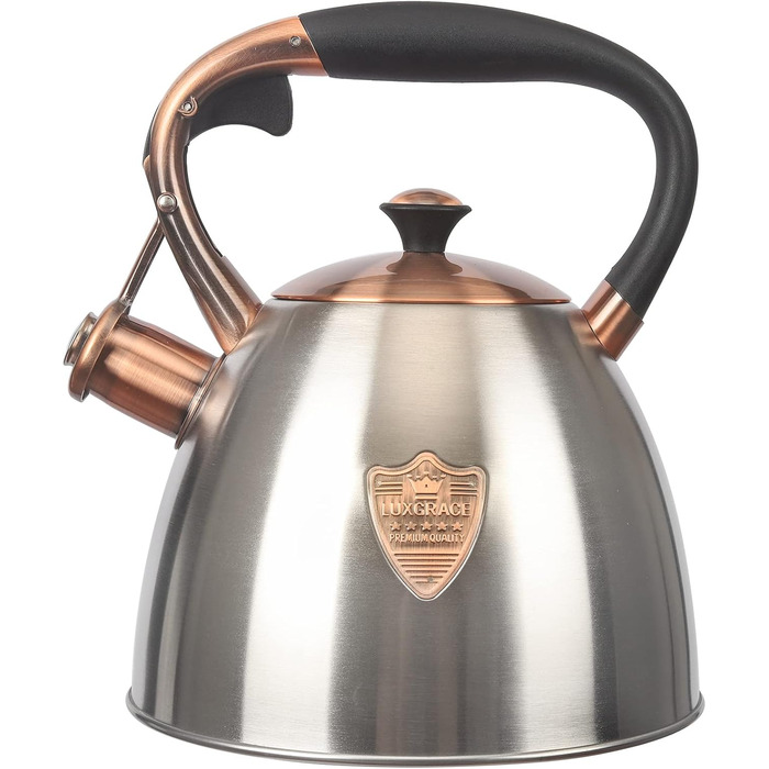 Чайник для плити Teekessel з нержавіючої сталі, 2,9 л