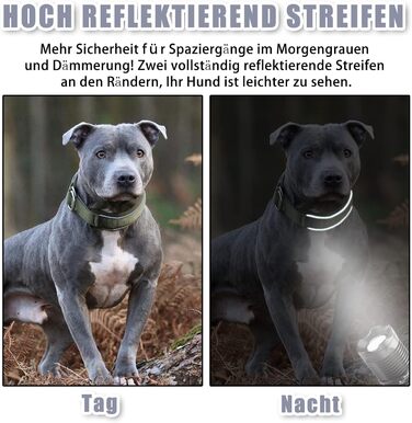Нашийник для собак з неопрену (4см) з відбиваючими елементами, міцний нейлон, стопор, комфортний, для дресирування, проти ривка, для малих, середніх та великих собак, сірий, L (45-56см)
