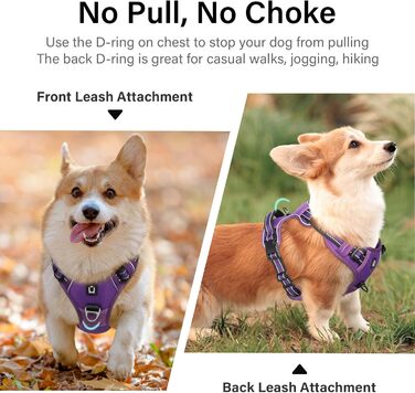 Нашийник для собак No-Pull, грудна шлейка для малих, середніх та великих собак - м'яка, дихаюча, регульована, світловідбиваюча, анти-тяга з м'яким гачком, фіолетовий M