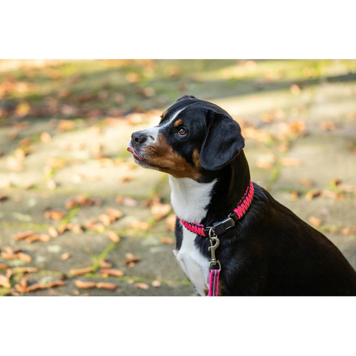 Нашийник для собак Sprenger з паракорду, нержавіюча сталь, світловідбиваючий, жовтий (55 см)