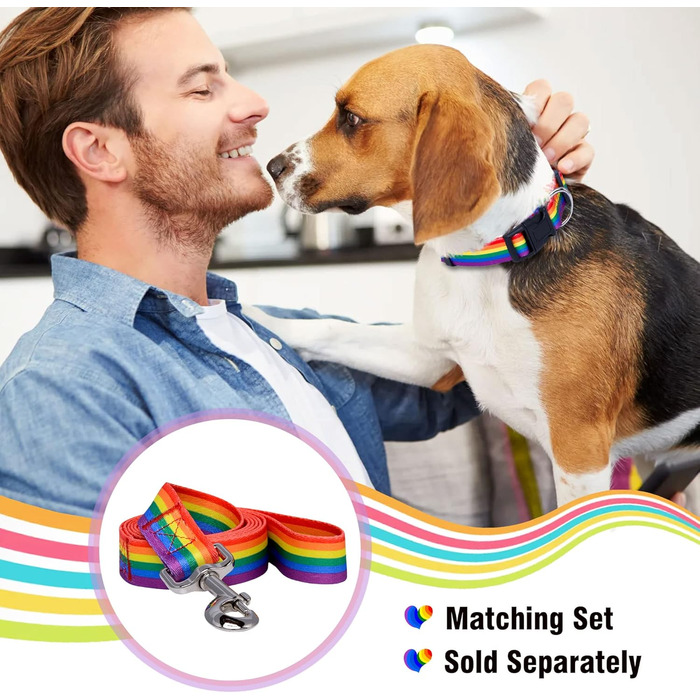 Нашийник для собак Native Pup з прапором ЛГБТК+, гордість, аксесуари для парадів, рівність, подарунок, аксесуари для підтримки ЛГБТК+ (малий)
