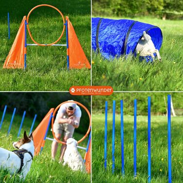 Набір для аджиліті для собак середнього розміру PfotenWunder®: 6 шлагбаумів, тунель, для тренувань, спорту та ігор. Підходить для малих та великих собак.