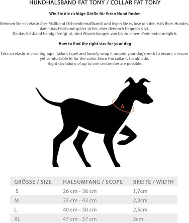 Нашийник для собак Jack Russell з жирової шкіри, ручної роботи – міцний шкіряний нашийник для собак маленьких, середніх та великих порід, Fat-Tony (XL), розмір 47-57 см