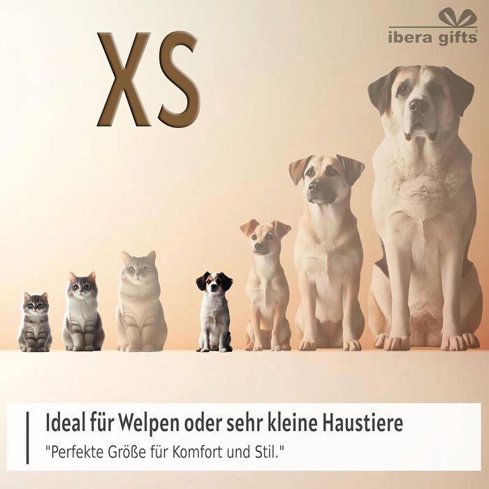 Персоналізований ошийник для собак, з іменем, для маленьких собак, 25-40 см, світловідбиваючий (фуксія, XS)