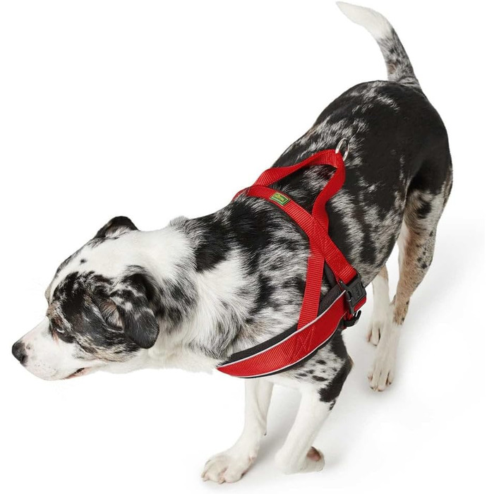 Шлейка для собак HUNTER RACING, чорна, м'яка, світловідбиваюча, регульована, розмір M-L