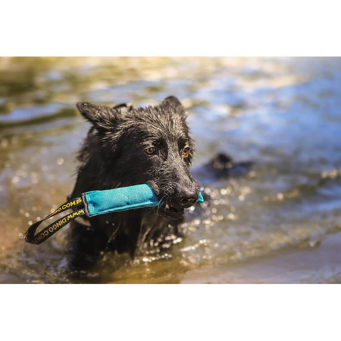 Dingo Dog Toy Bite Sausage Agility Cotton with Handle Handcrafted for Bite Training, Fetching, Floating. 4 Pieces: 15 cm x 6 cm Z30001 (Set of 4: 27x6 cm, Multicolor)