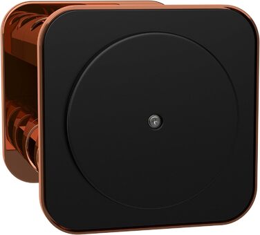 bonVIVO Rondo: поворотна підставка для спецій на 12 відділень, нержавіюча сталь, сріблястий колір, регульоване спеційне карусель, спеційне коло для солі та перцю (мідь)