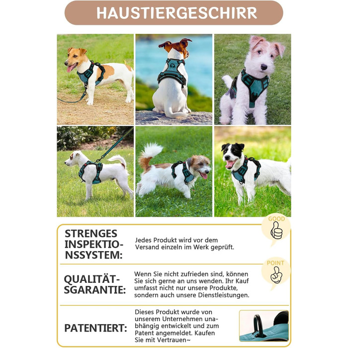 Нашийник для собак BaoCheng Anti Pull: дихаюча сітка, 3 пряжки, безпека, полегшення кашлю, світловідбиваючий (темно-зелений, S)