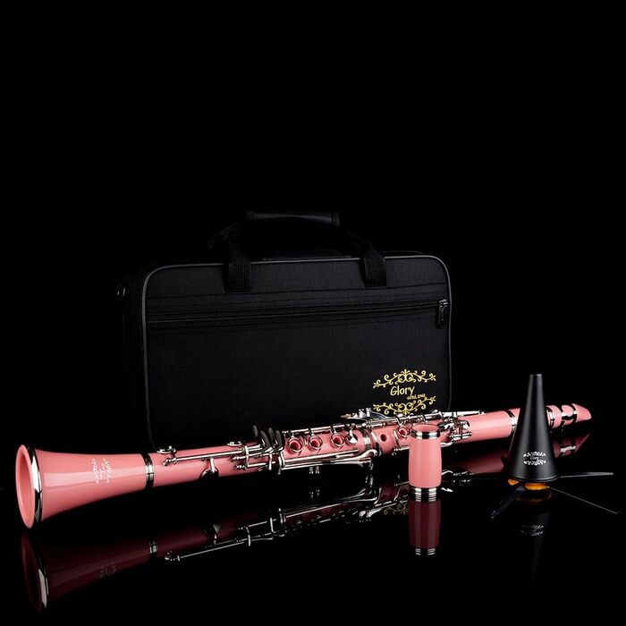 Професійна кларнет Glory GLY-CLAGN з ебоніту, Bb, з аксесуарами (10 вставок, стійка, кейс, серветка, щітки), зелений (рожево-сріблястий)
