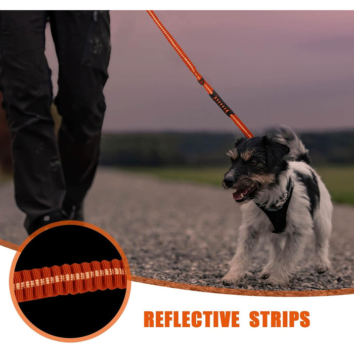 Міцна тактична повід для собак Raiput Bungee, 1.2-1.8 м, проти тяги, з карабіном, світловідбиваючі, амортизуючі, для середніх собак (Orange 2.0, Large)
