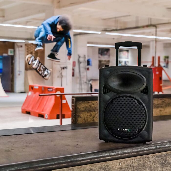 Портативна акустика Ibiza PORT12VHF-BT 12