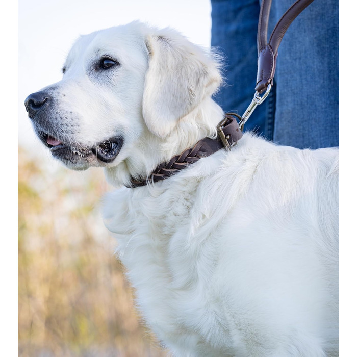Сплетене шкіряне нашийник для собак – міцний ручної роботи, з високоякісної шкіри буйвола, Clarissa (M (36.0-45.0cm))
