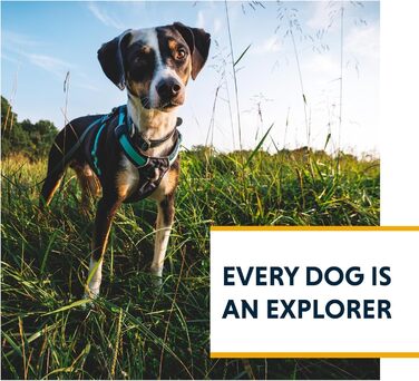 Нашийник Ruffwear Hi & Light Gechirr Alpenglow Pink для собак XS